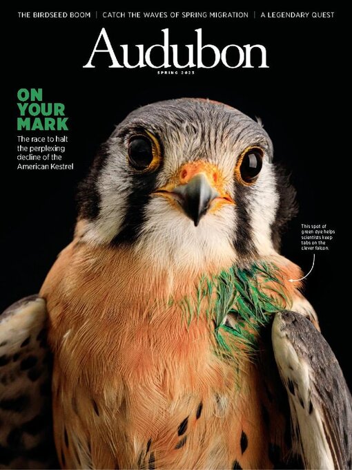 Title details for Audubon Magazine by National Audubon Society - Available